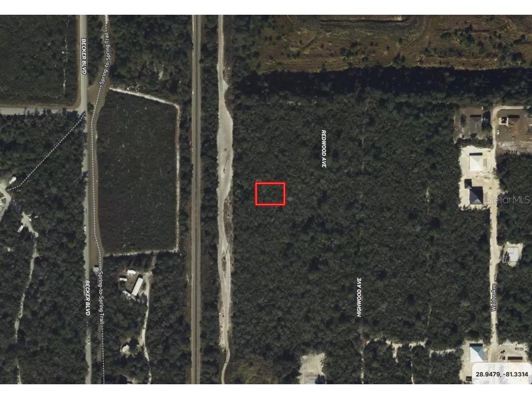 Riegel (Paper) Avenue Orange City FL 32763 C7512277 image2