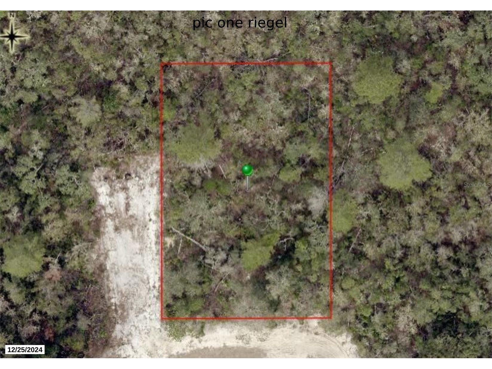 Riegel (Paper) Avenue Orange City FL 32763 V4947156 image1