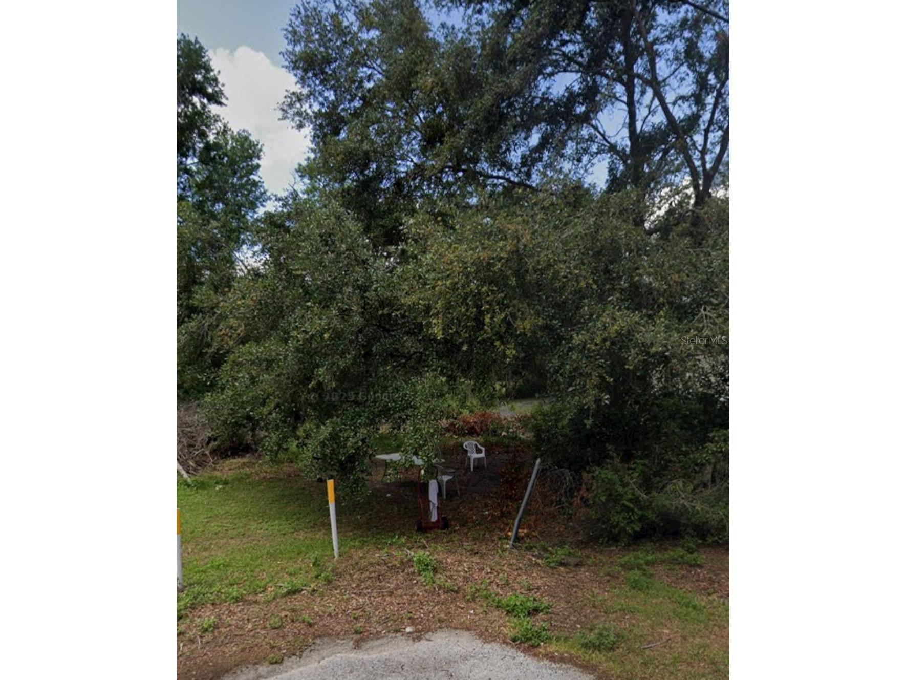 Riley Avenue Zephyrhills FL 33542 W7878242 image1