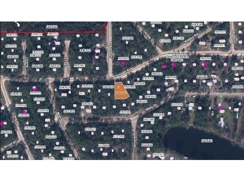 Riley Dr Interlachen FL 32148 O6231639 image3