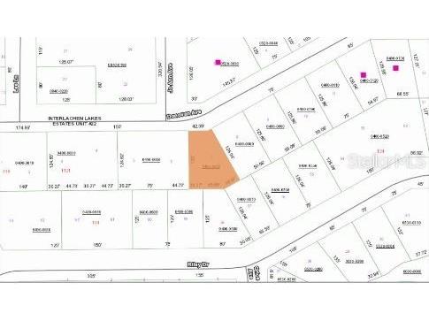 Riley Dr Interlachen FL 32148 O6231639 image4