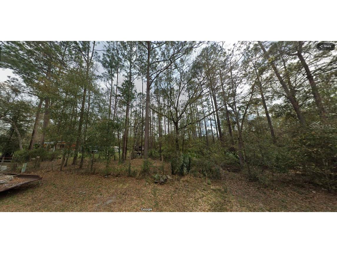 Riley Dr Interlachen FL 32148 O6231639 image7