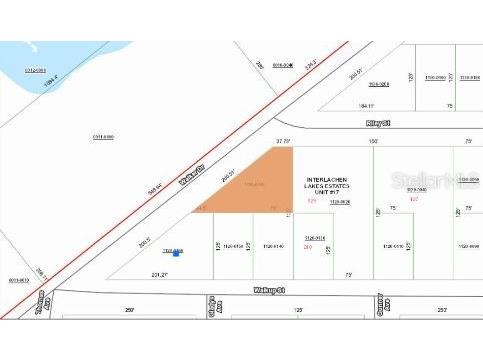 Riley Street Interlachen FL 32148 O6299521 image3