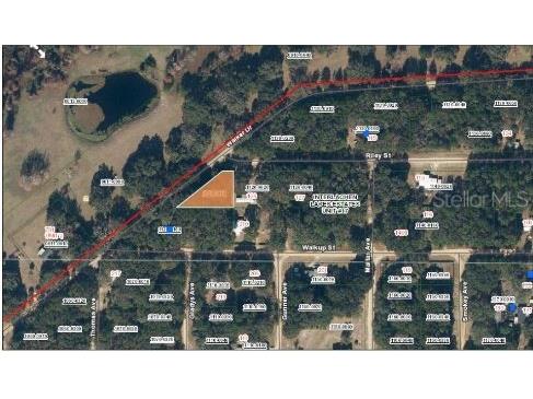 Riley Street Interlachen FL 32148 O6299521 image5