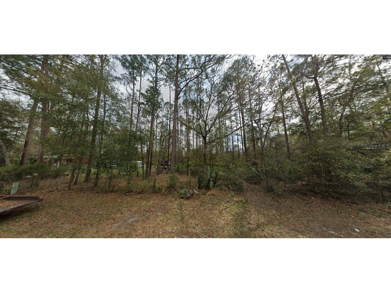 Riley Street Interlachen FL 32148 O6299521 image7