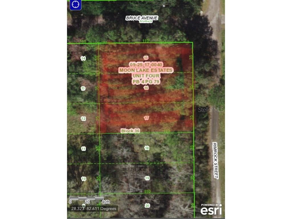 Rimrock Street New Port Richey FL 34654 T3452220 image1