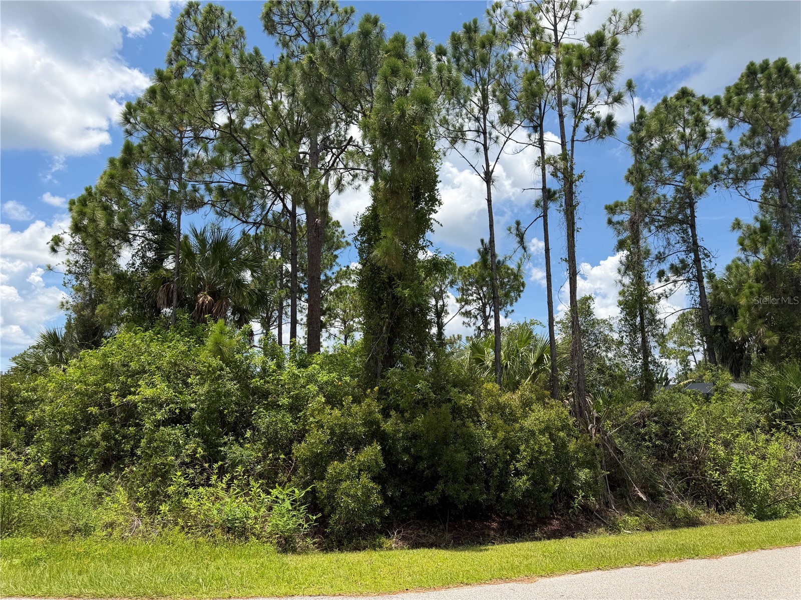 Ring Street North Port FL 34286 TB8526163 image7