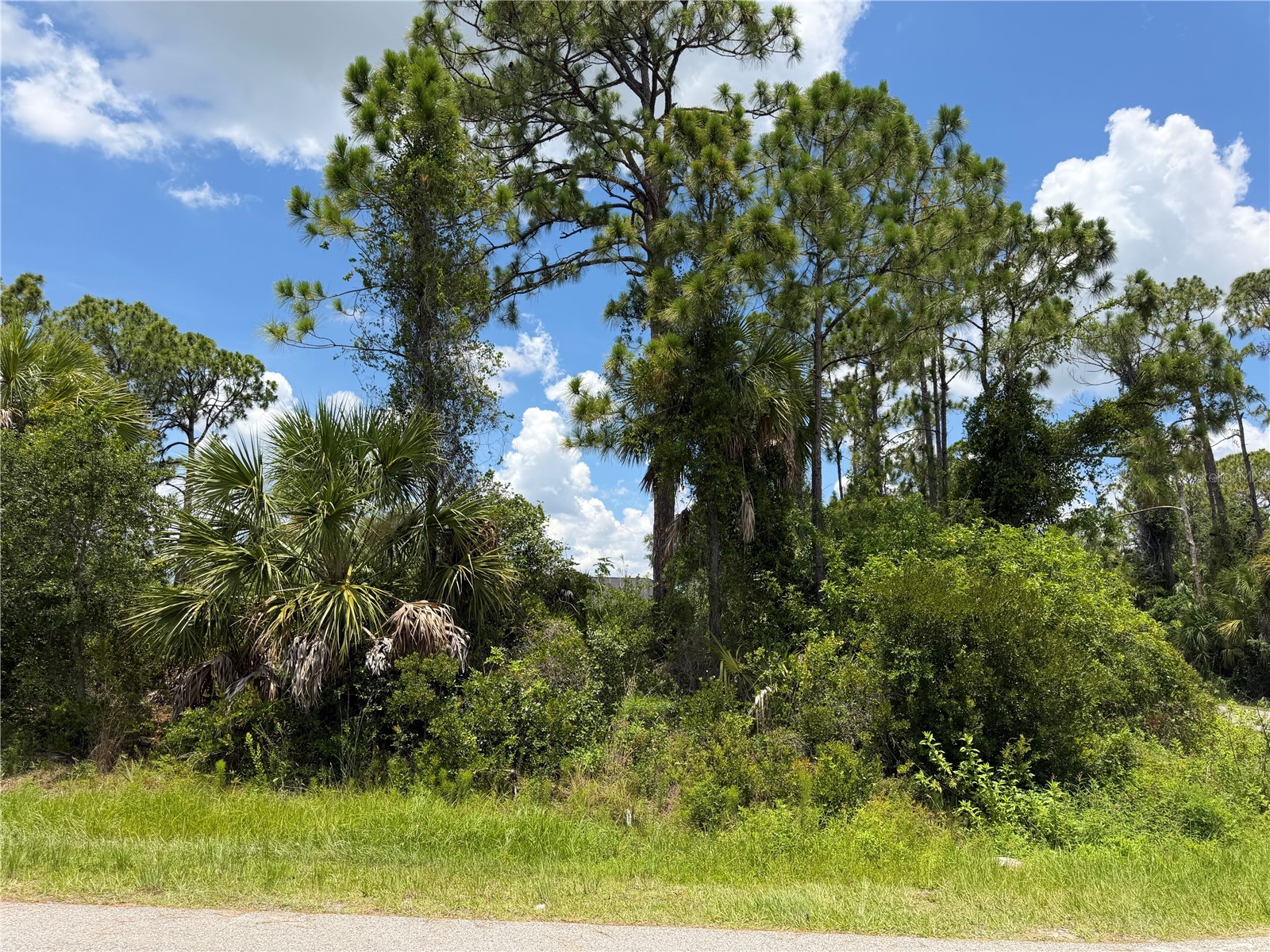 Ring Street North Port FL 34286 TB8526163 image8