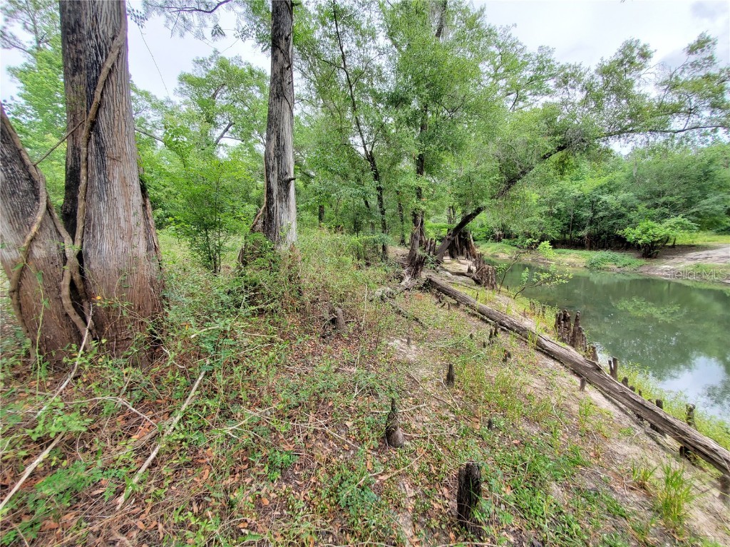 Ringwalt Drive Dade City FL 33523 TB8329168 image11