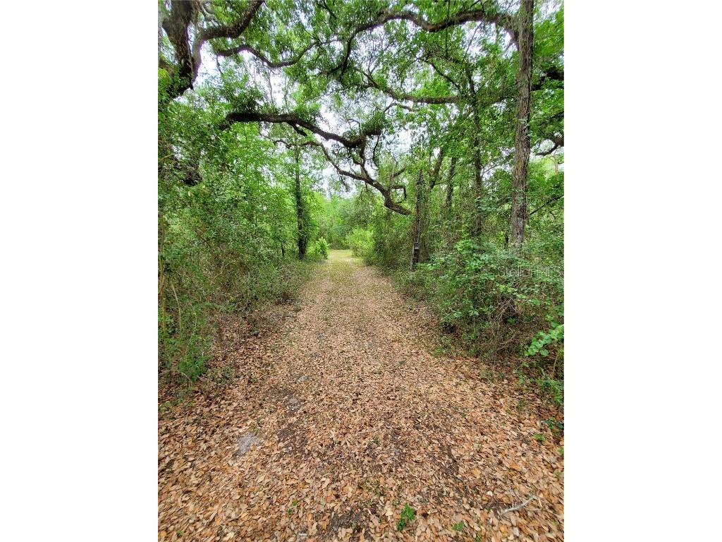 Ringwalt Drive Dade City FL 33523 TB8329168 image16