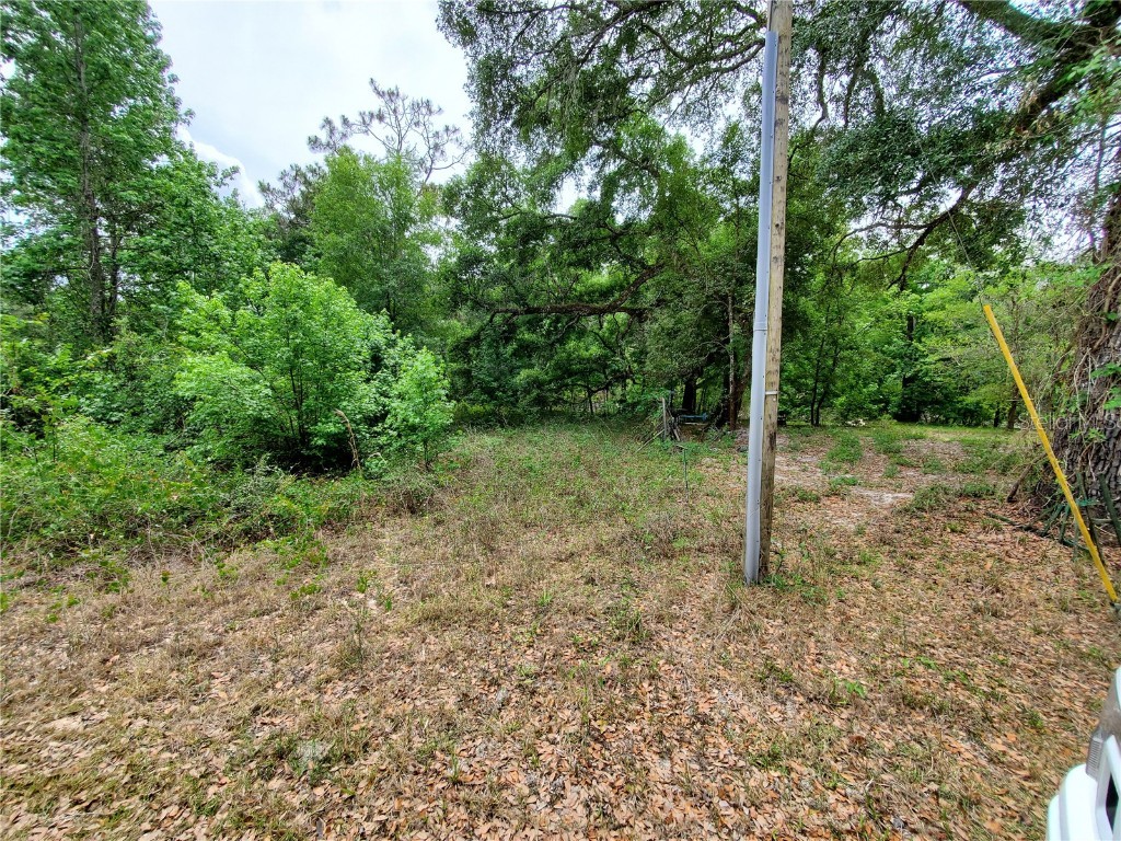 Ringwalt Drive Dade City FL 33523 TB8329168 image17