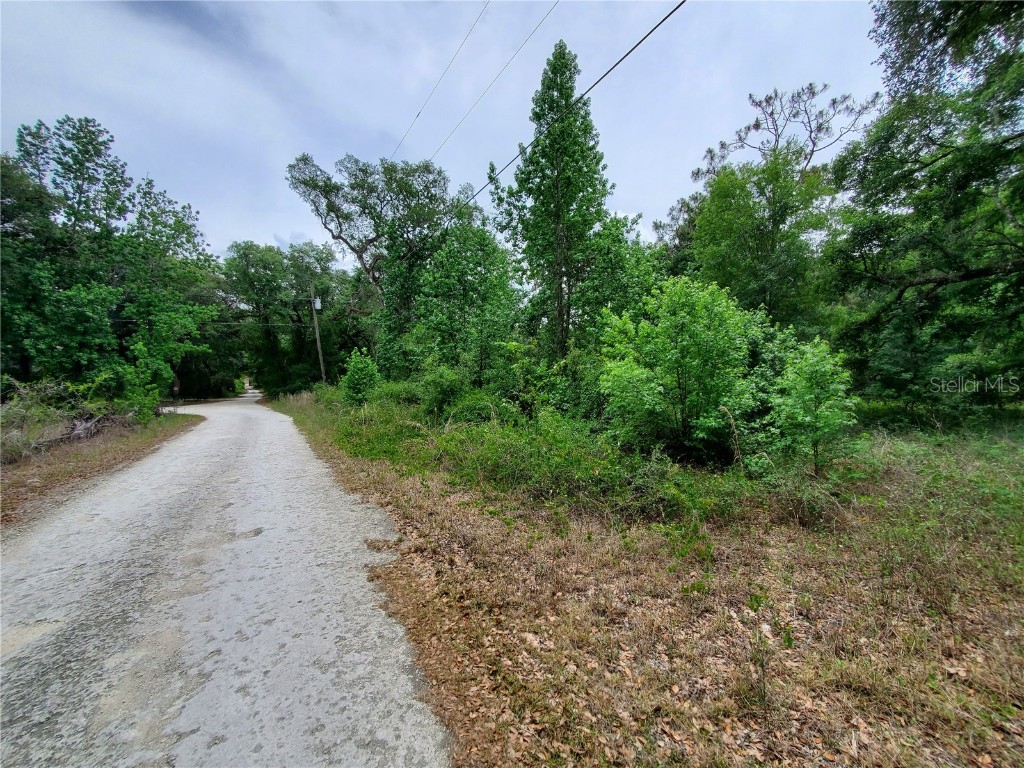 Ringwalt Drive Dade City FL 33523 TB8329168 image18