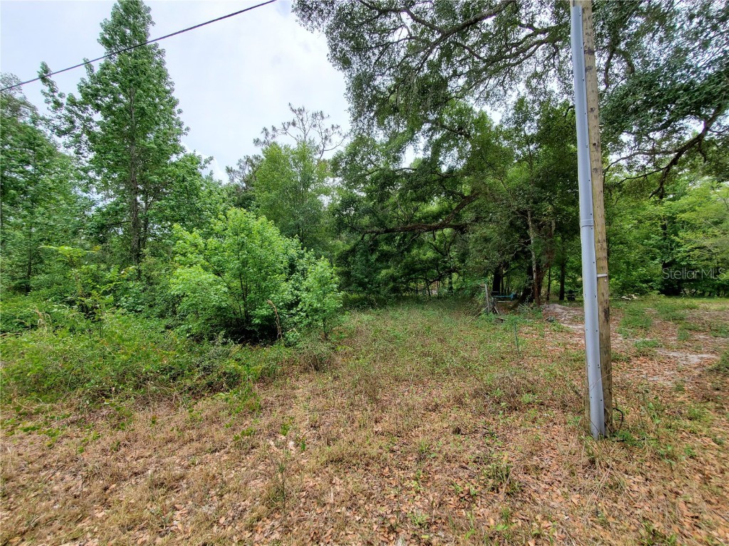 Ringwalt Drive Dade City FL 33523 TB8329168 image19