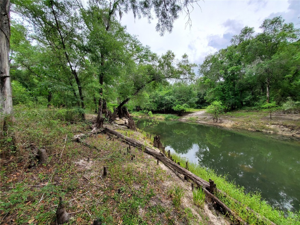 Ringwalt Drive Dade City FL 33523 TB8329168 image2