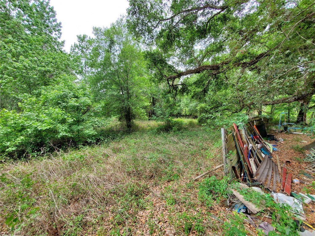 Ringwalt Drive Dade City FL 33523 TB8329168 image20