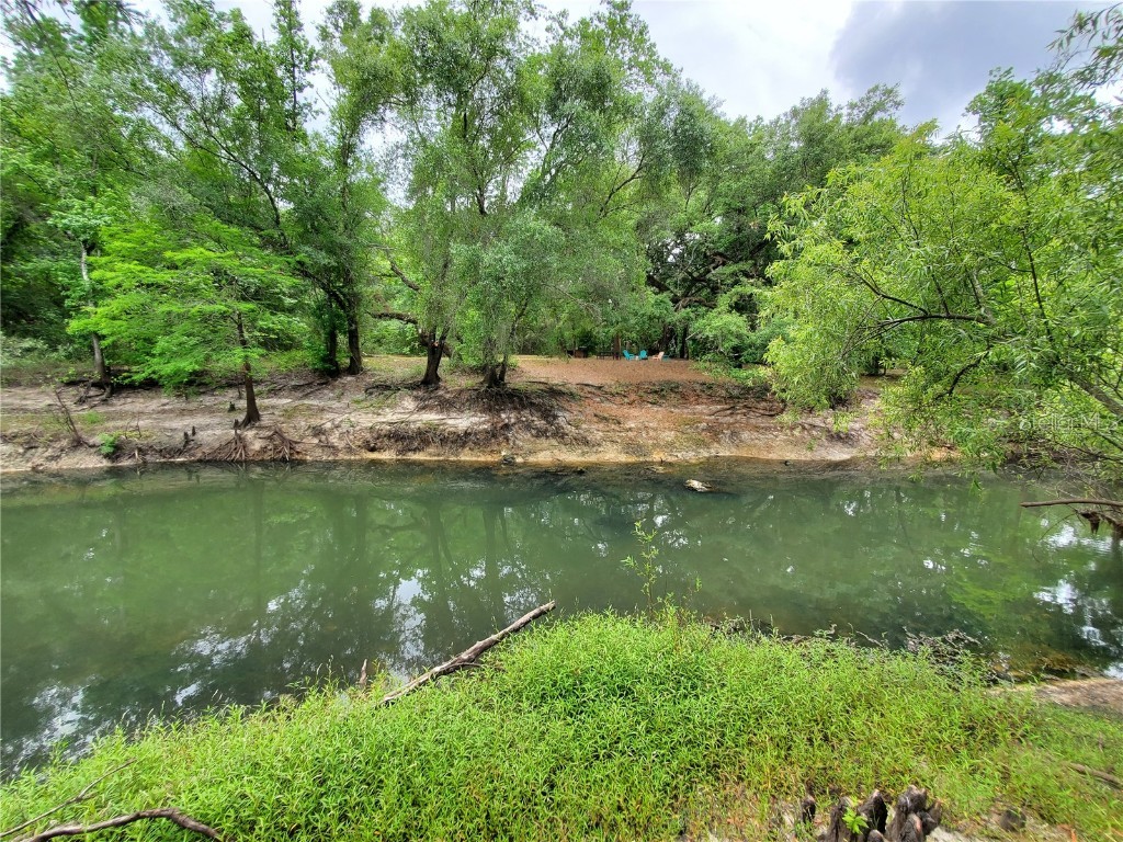 Ringwalt Drive Dade City FL 33523 TB8329168 image3