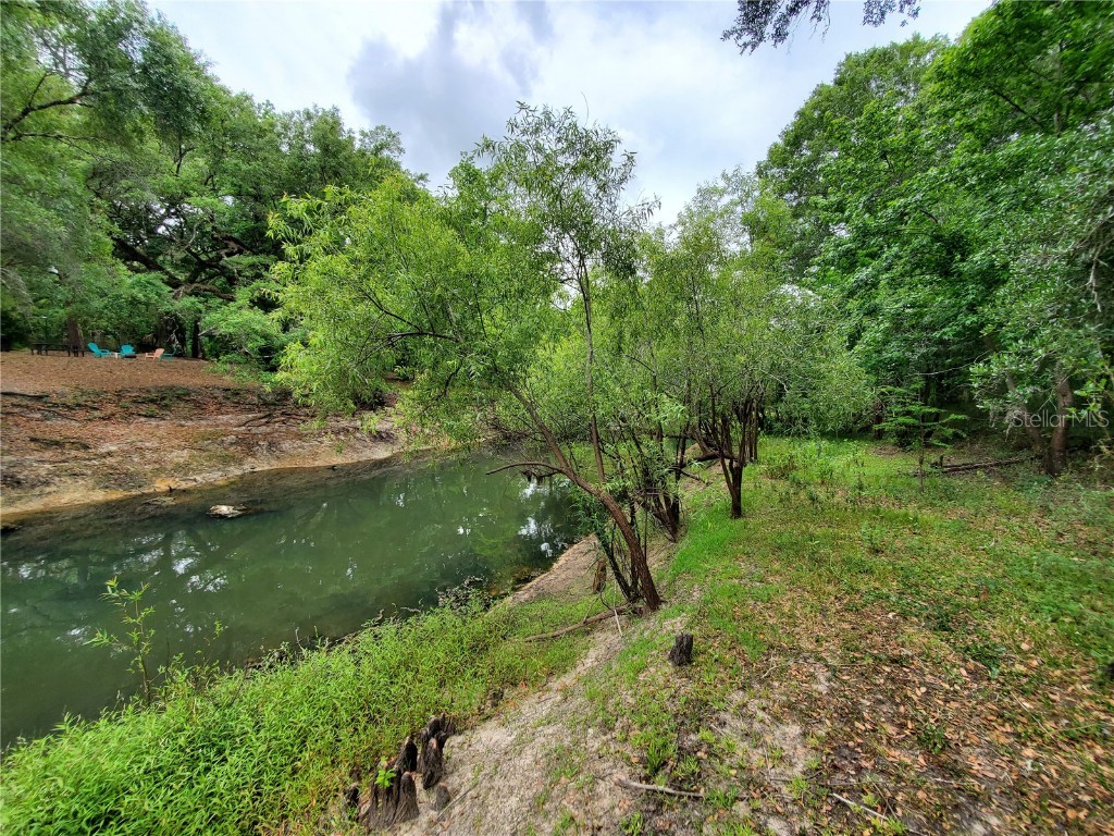 Ringwalt Drive Dade City FL 33523 TB8329168 image4