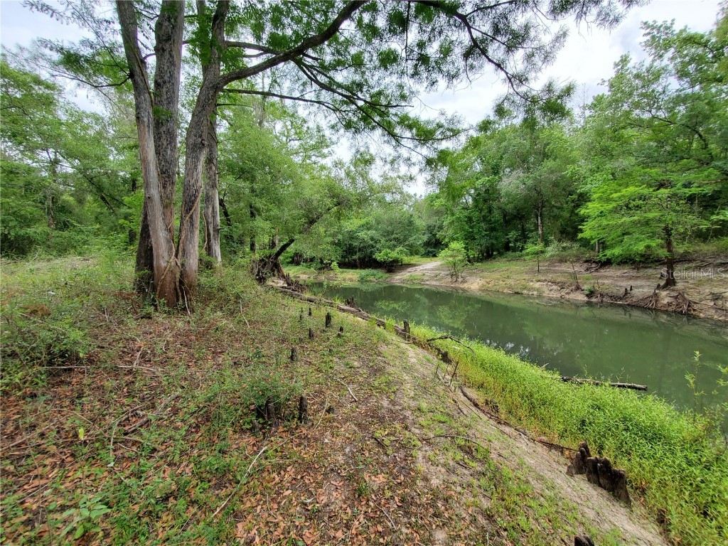 Ringwalt Drive Dade City FL 33523 TB8329168 image5