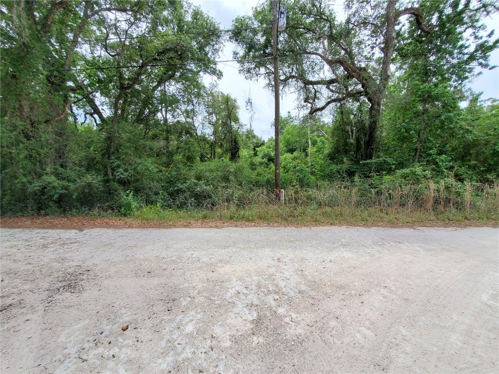 Ringwalt Drive Dade City FL 33523 TB8329168 image6