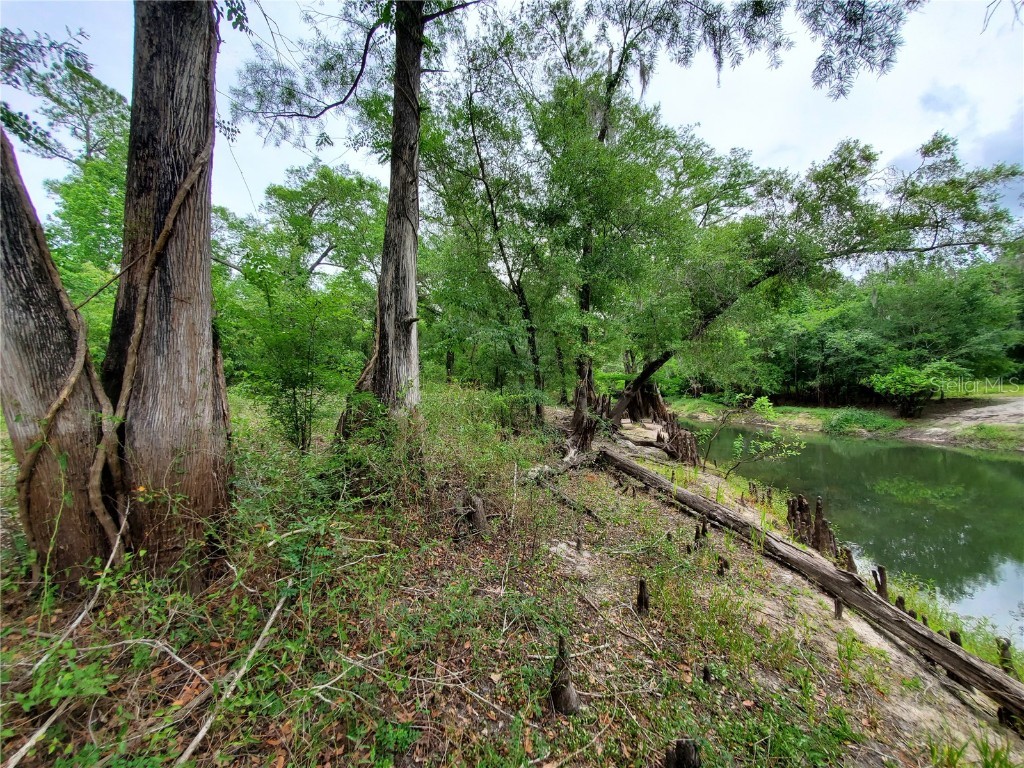 Ringwalt Drive Dade City FL 33523 TB8329168 image9