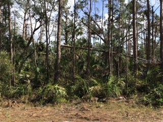 Ripley Street North Port FL 34286 A4557491 image1