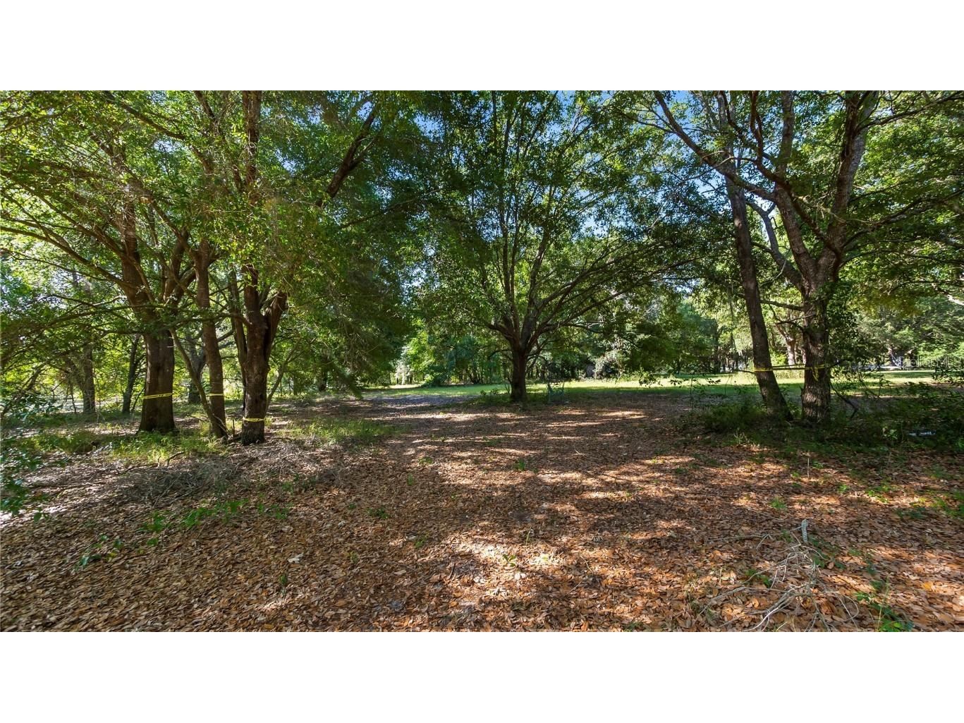 River Bed Road Groveland FL 34736 - CANAL TO LAKE EMMA G5081896 image1