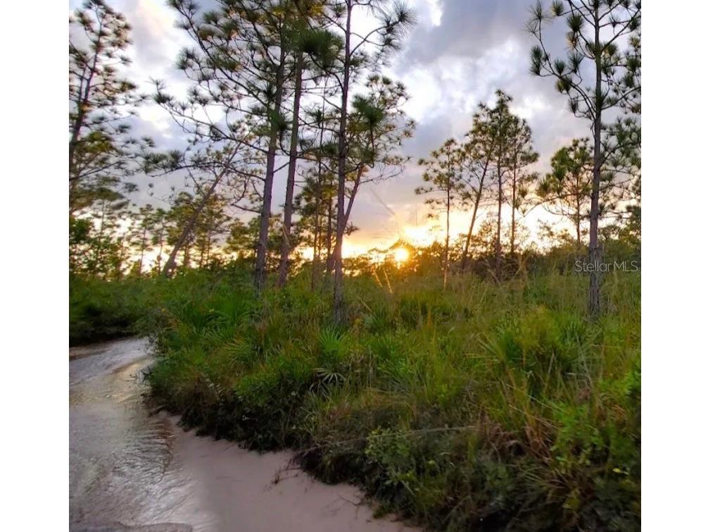 River Ranch Blvd Frostproof FL 33843 TB8463903 image4