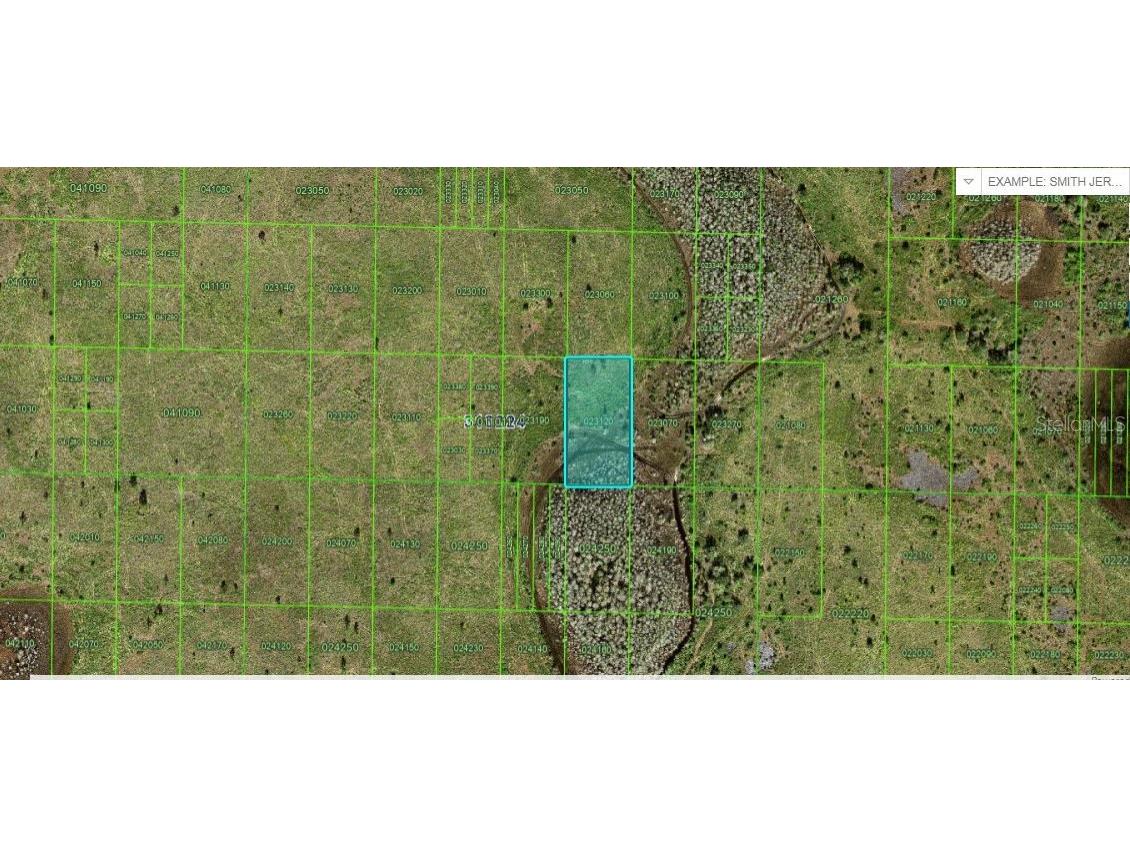 River Ranch Boulevard Lake Wales FL 33898 O6229085 image1