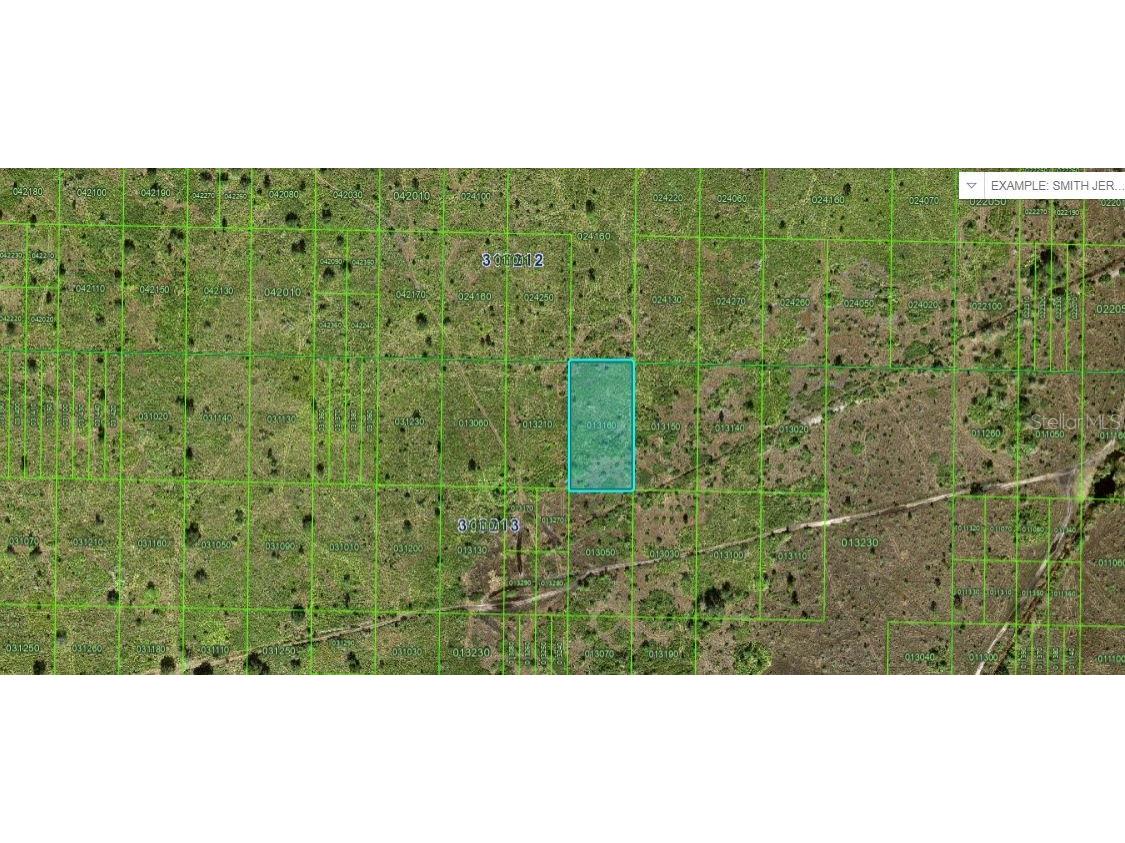 River Ranch Boulevard Lake Wales FL 33898 O6247365 image1