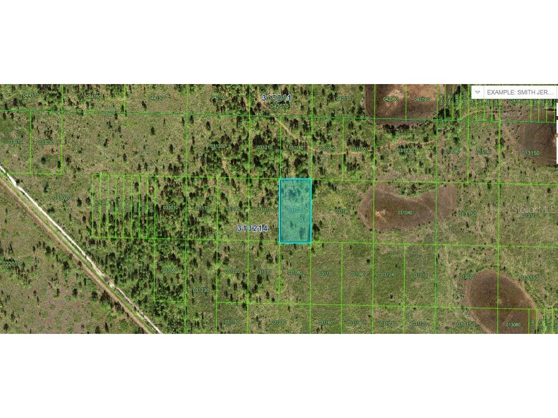 River Ranch Boulevard Lake Wales FL 33898 O6265104 image2