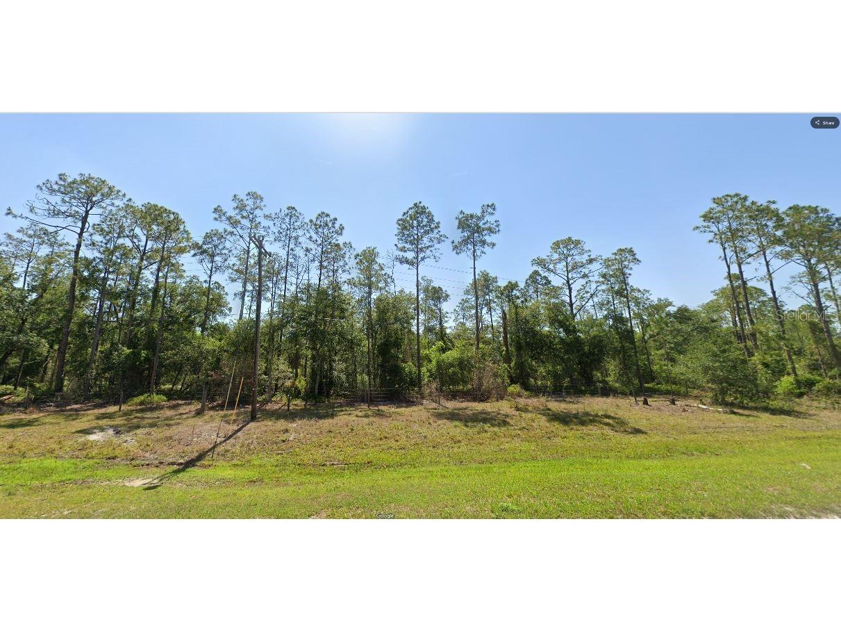 River Ranch Boulevard Lake Wales FL 33898 O6265104 image3