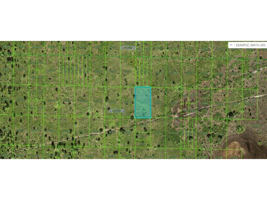 River Ranch Boulevard Lake Wales FL 33898 O6265132 image2