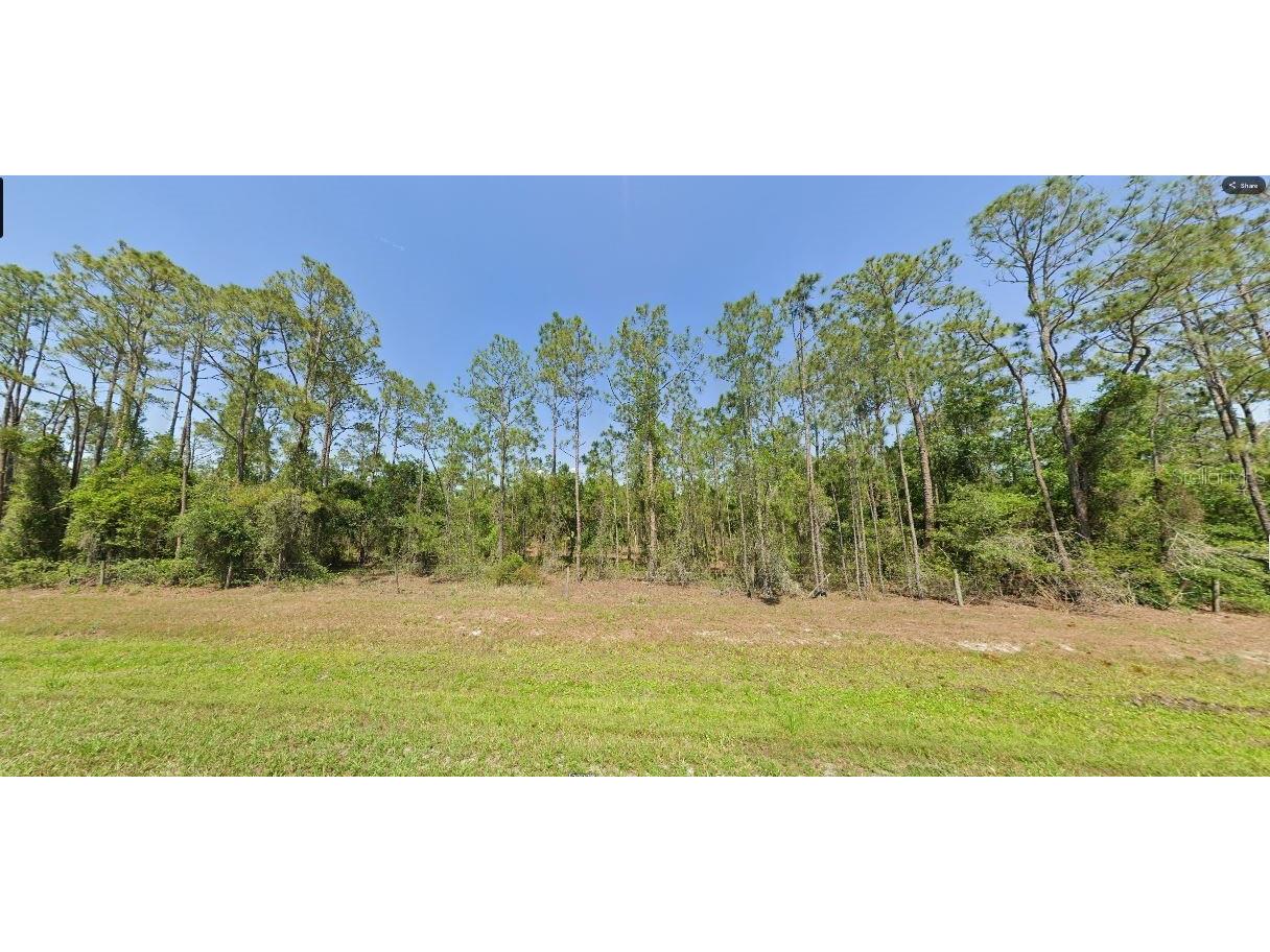 River Ranch Boulevard Lake Wales FL 33898 O6265132 image3