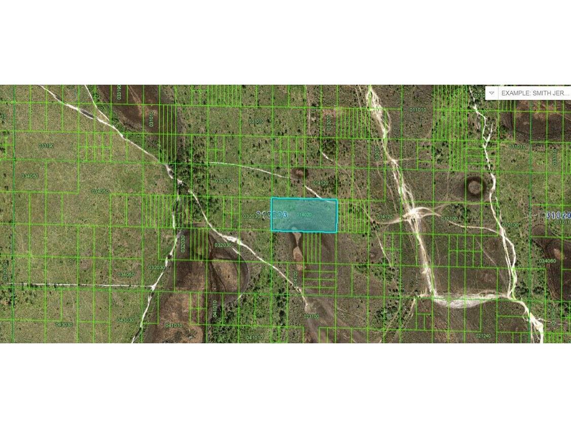 River Ranch Boulevard Lake Wales FL 33898 O6267350 image2