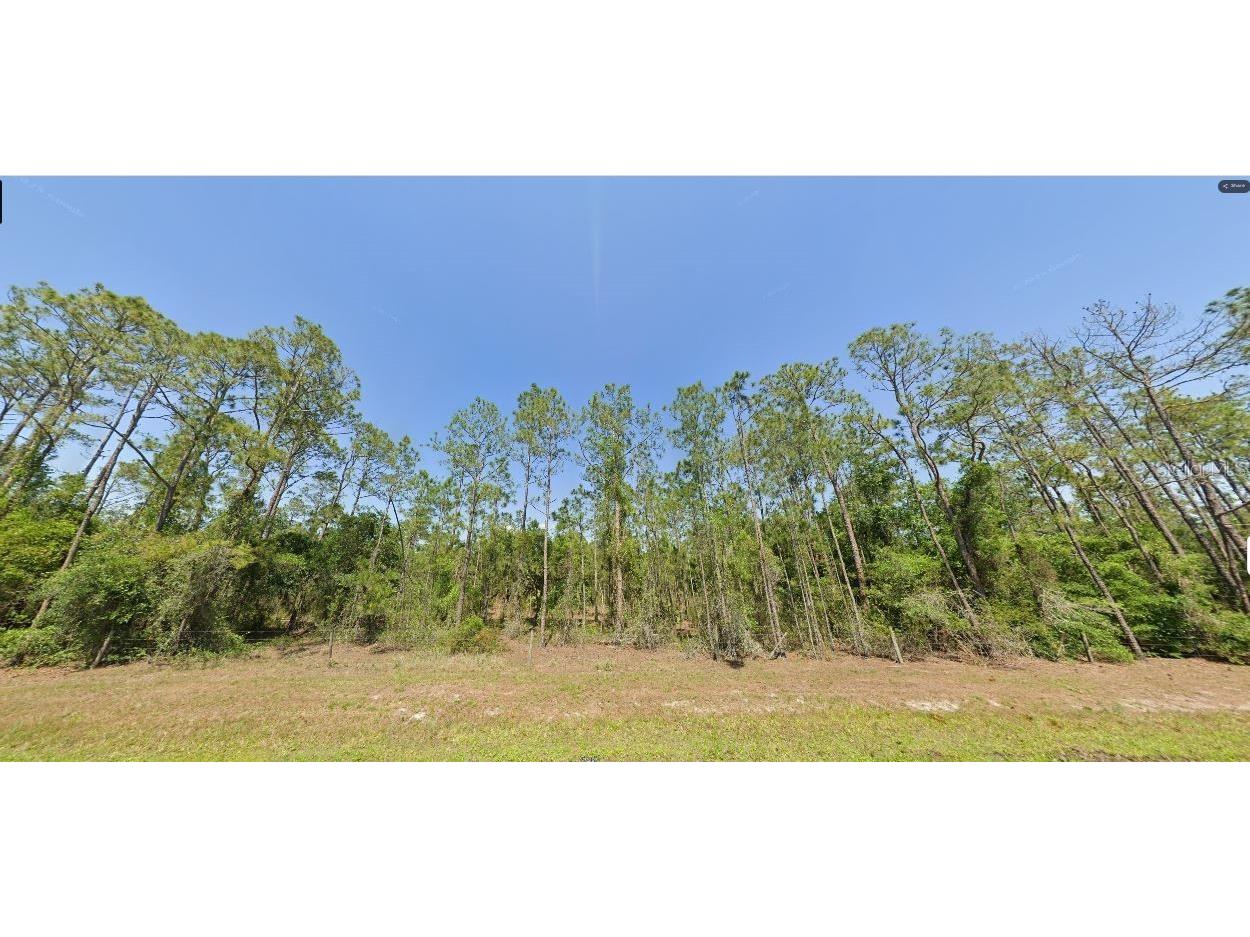 River Ranch Boulevard Lake Wales FL 33898 O6270681 image2