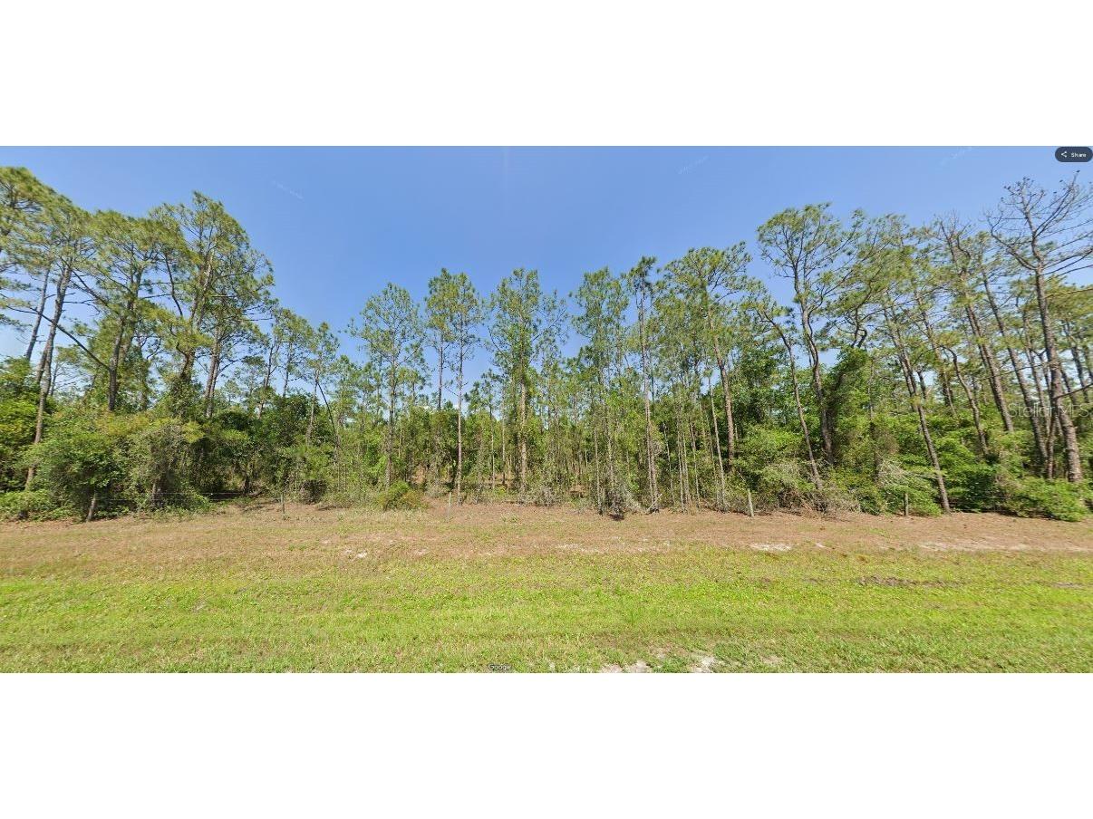River Ranch Rd Lake Wales FL 33898 O6267360 image2