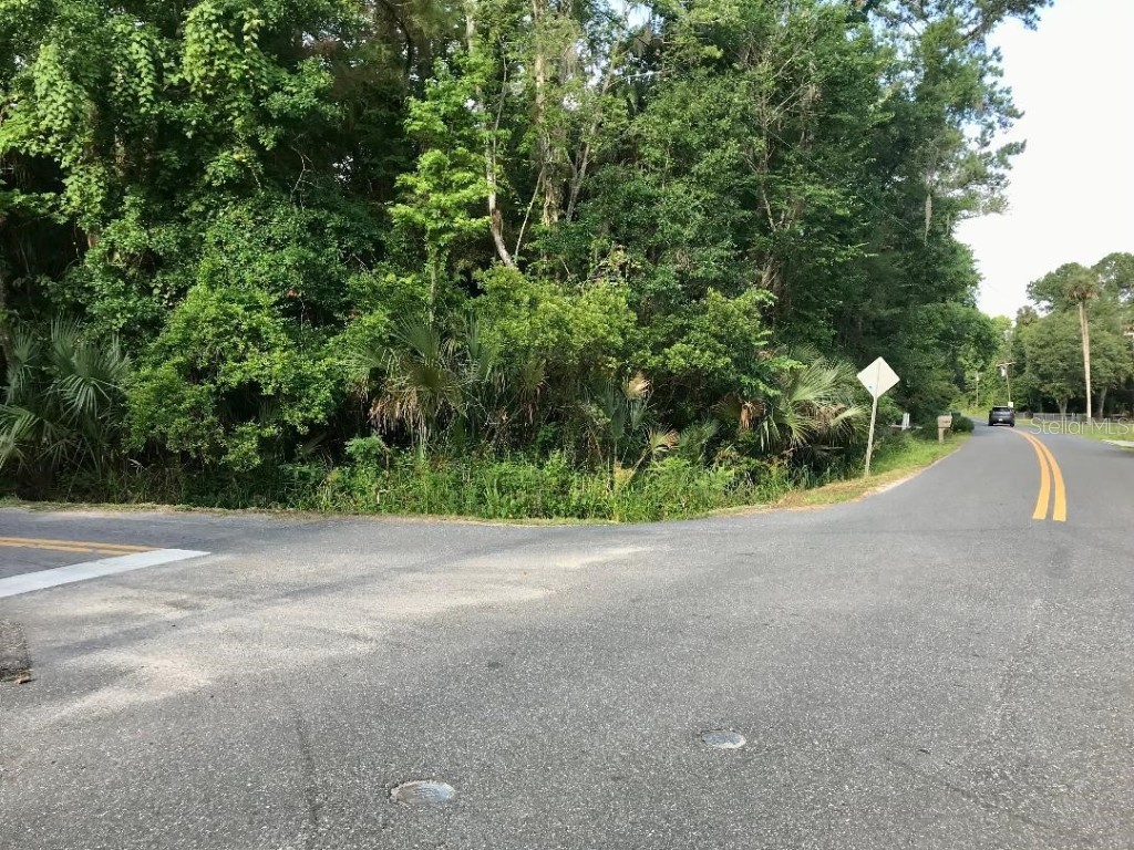 River Road Astor FL 32102 V4924709 image1