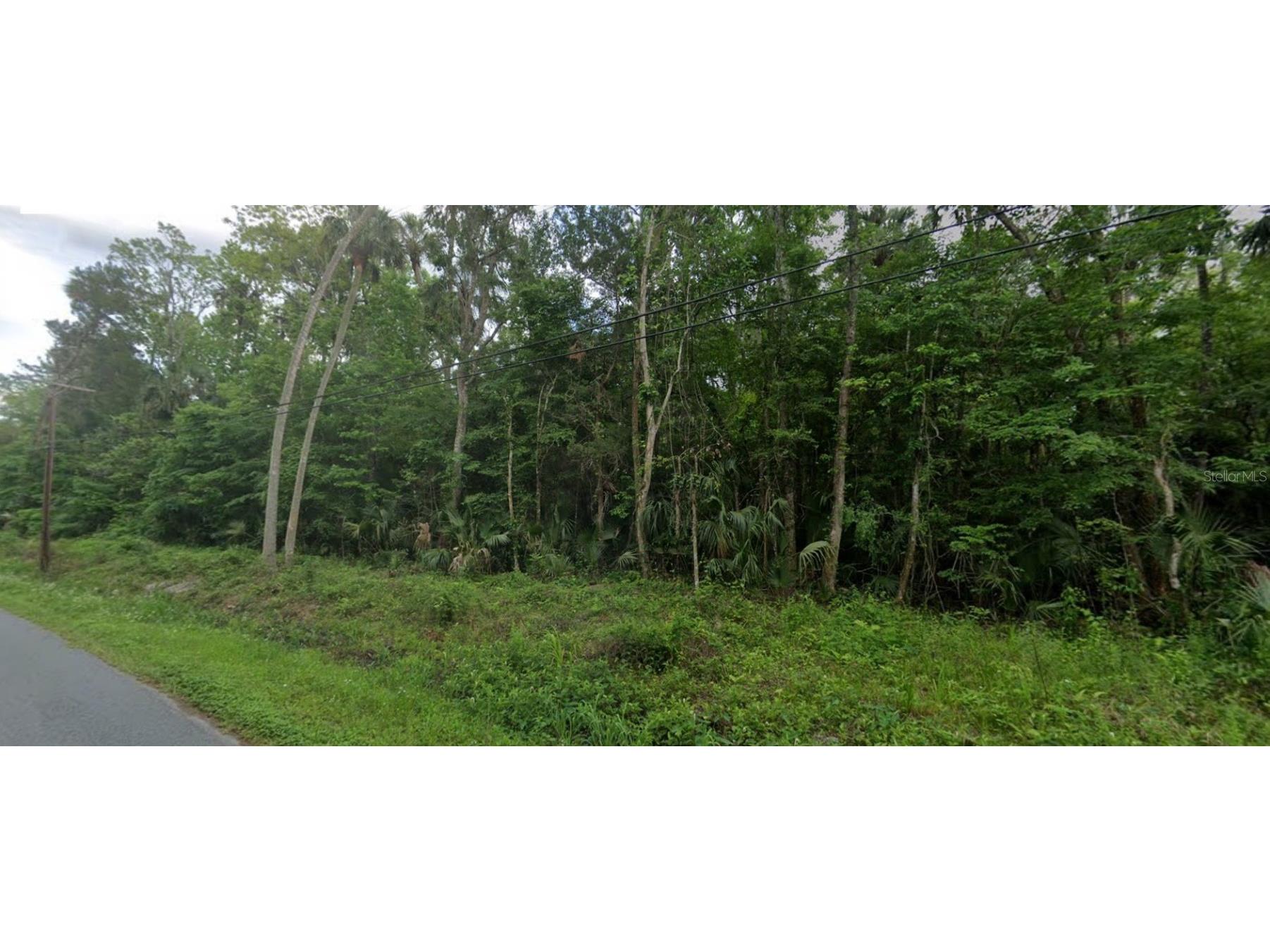 River Road Astor FL 32102 V4935252 image1