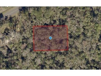 River Road Astor FL 32102 O6235692 image3