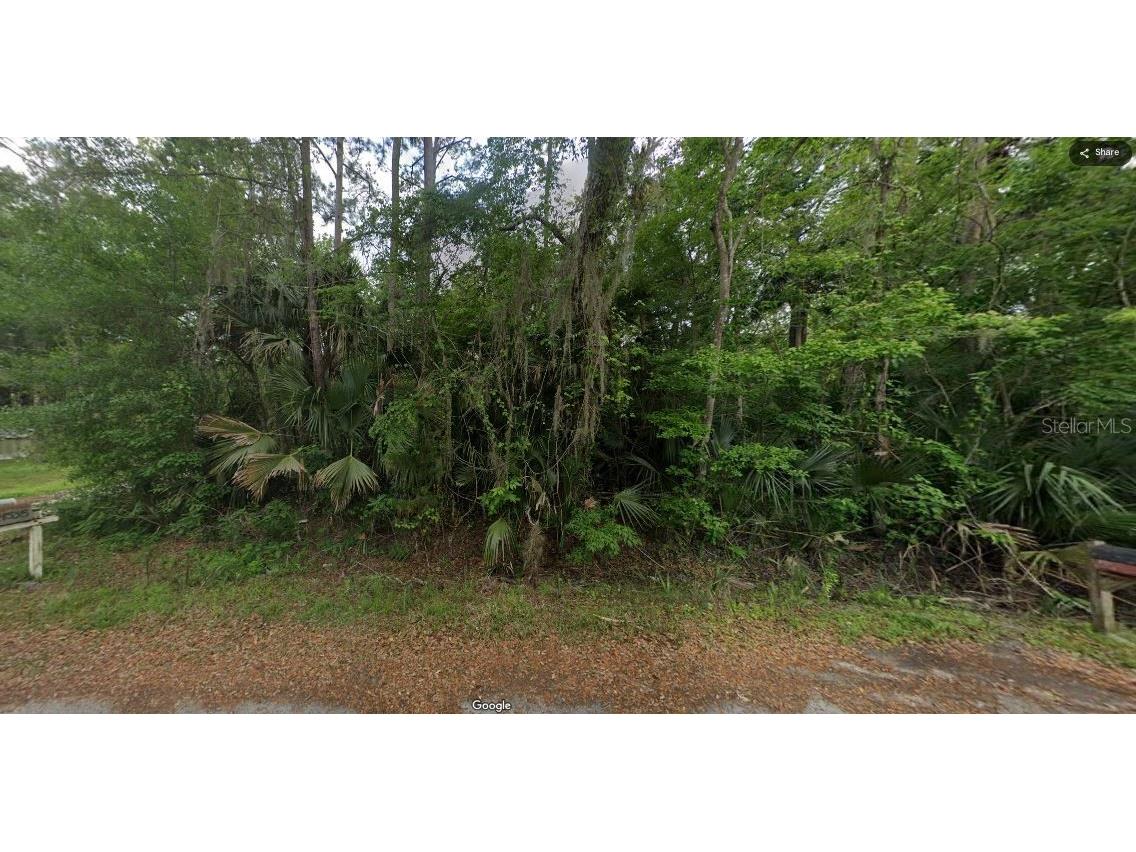 River Road Astor FL 32102 O6235692 image4