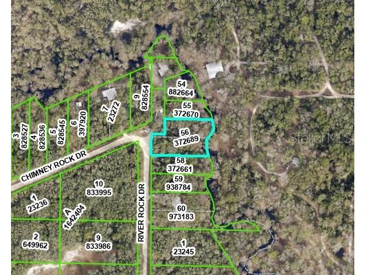 River Rock Drive Webster FL 33597 - LITTLE WITHLACOOCHEE RIVER U8206366 image1