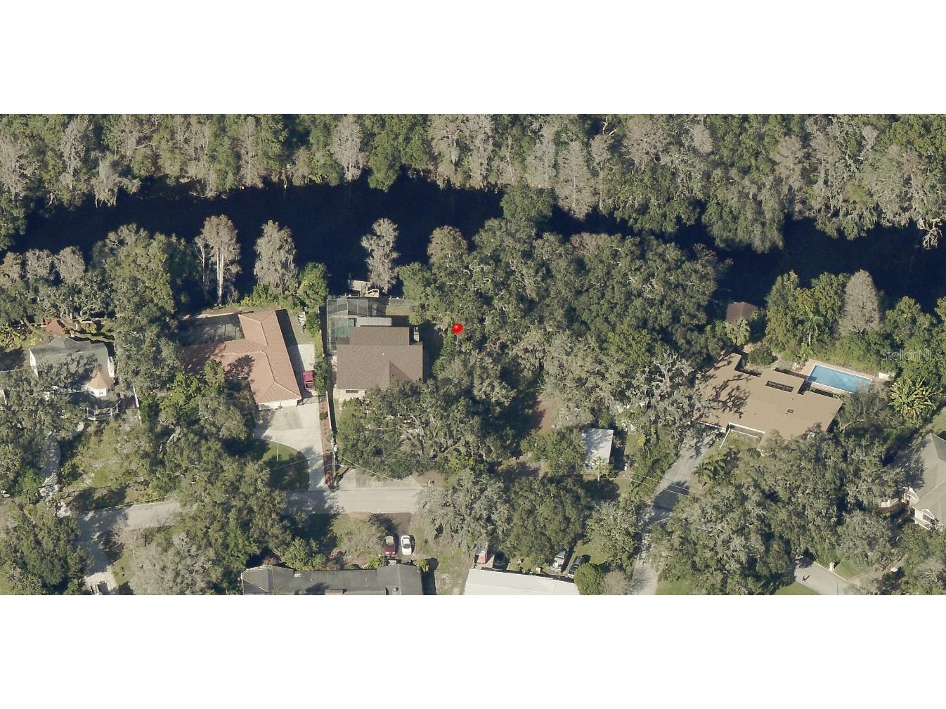 Riverhills Drive Tampa FL 33617 - HILLSBOROUGH RIVER O6191226 image1