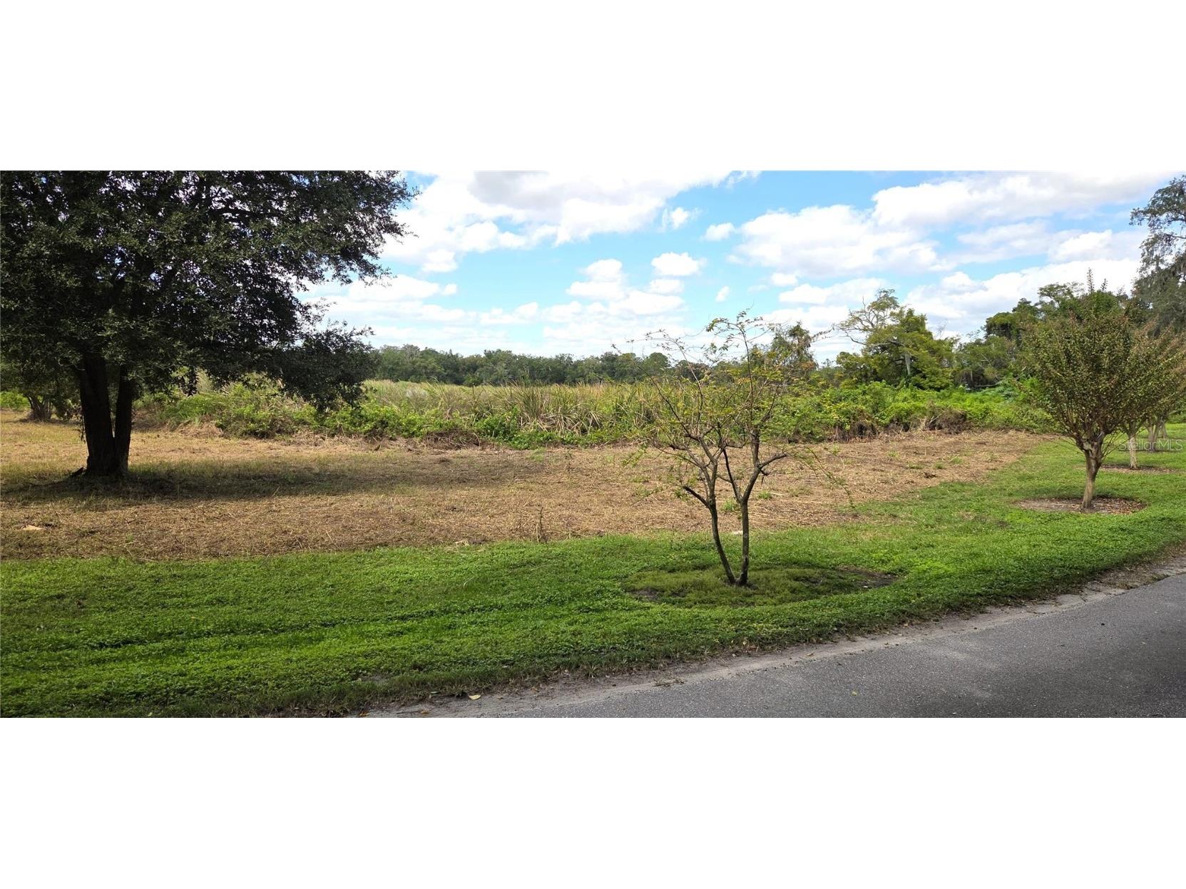 Riverside Park Road Orlando FL 32810 - LAKE GANDY TB8444111 image3