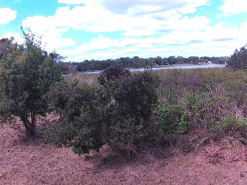 Riverside Park Road Orlando FL 32810 - LAKE GANDY TB8444111 image7