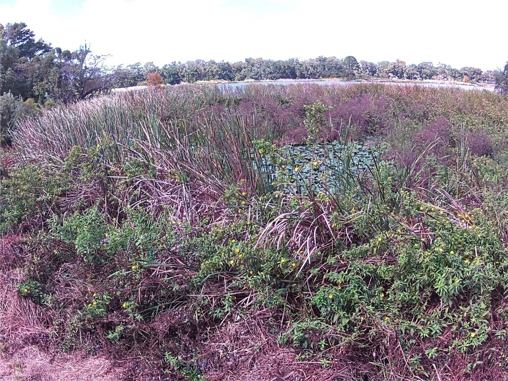 Riverside Park Road Orlando FL 32810 - LAKE GANDY TB8444111 image8