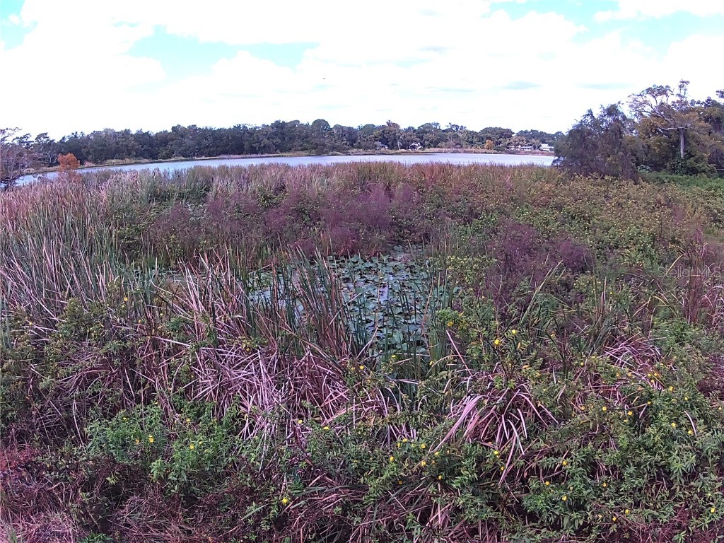 Riverside Park Road Orlando FL 32810 - LAKE GANDY TB8444111 image9