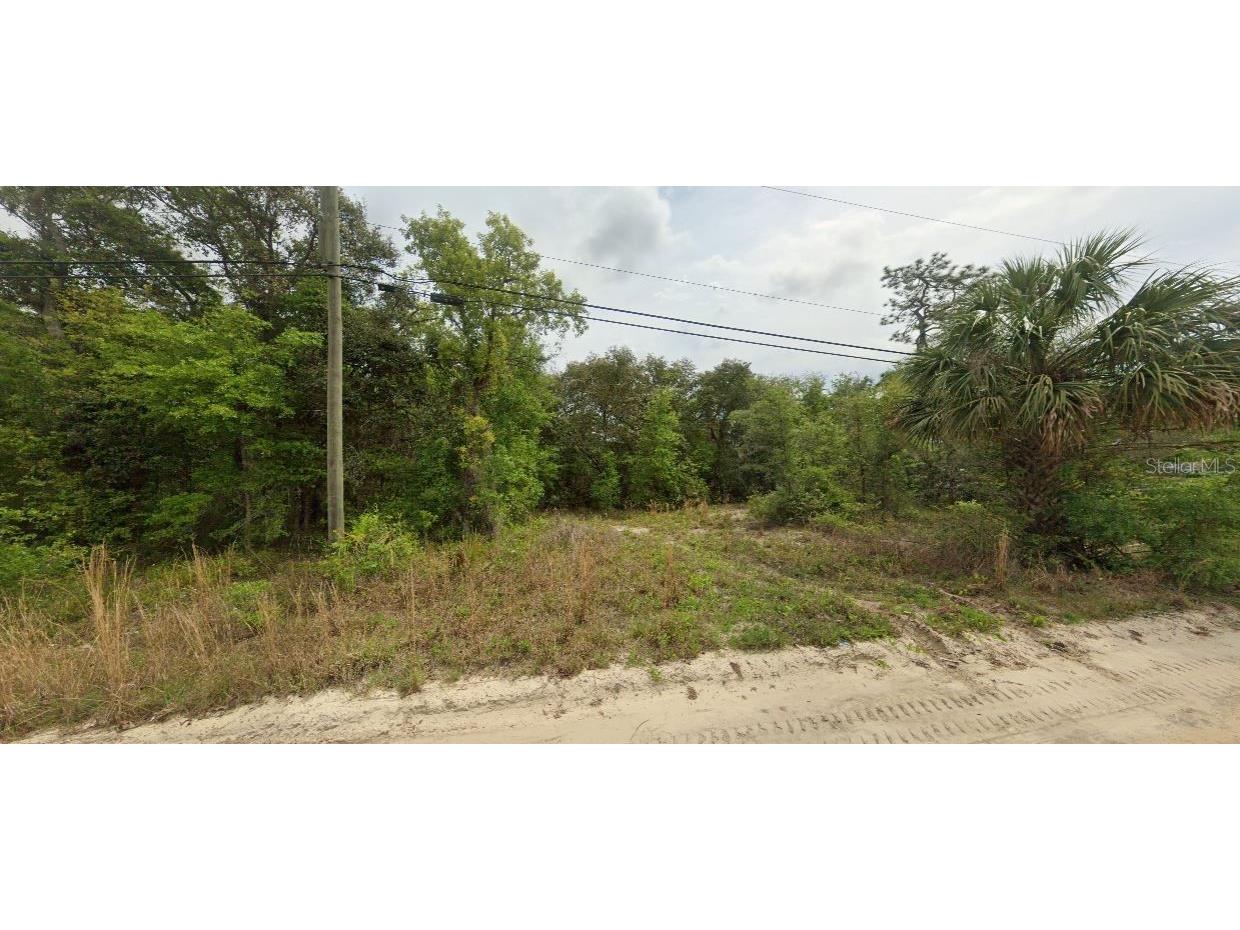 Riverside Trail Satsuma FL 32189 G5093037 image1