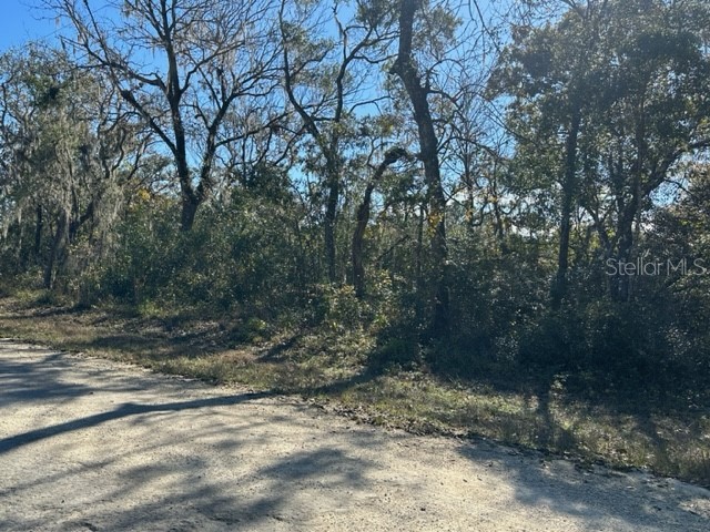 Riverstone Street Webster FL 33597 G5066950 image1