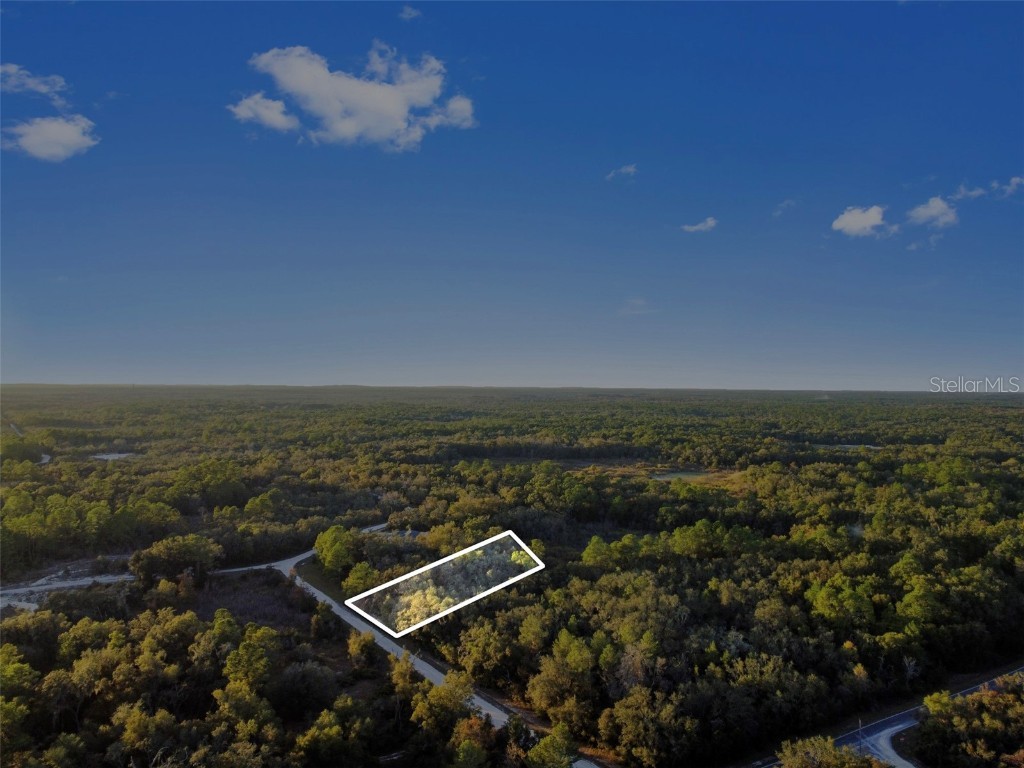 Riverstone Street Webster FL 33597 TB8448266 image1