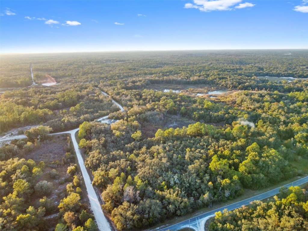 Riverstone Street Webster FL 33597 TB8448266 image10